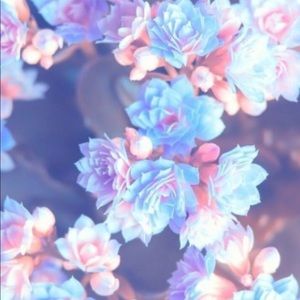 Meet your Posher, Kennedy